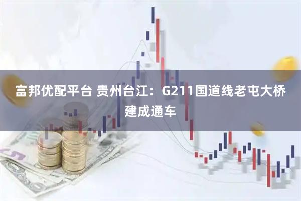 富邦优配平台 贵州台江：G211国道线老屯大桥建成通车