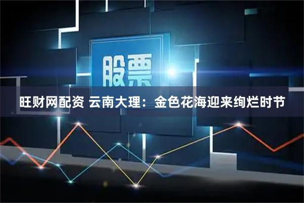 旺财网配资 云南大理：金色花海迎来绚烂时节